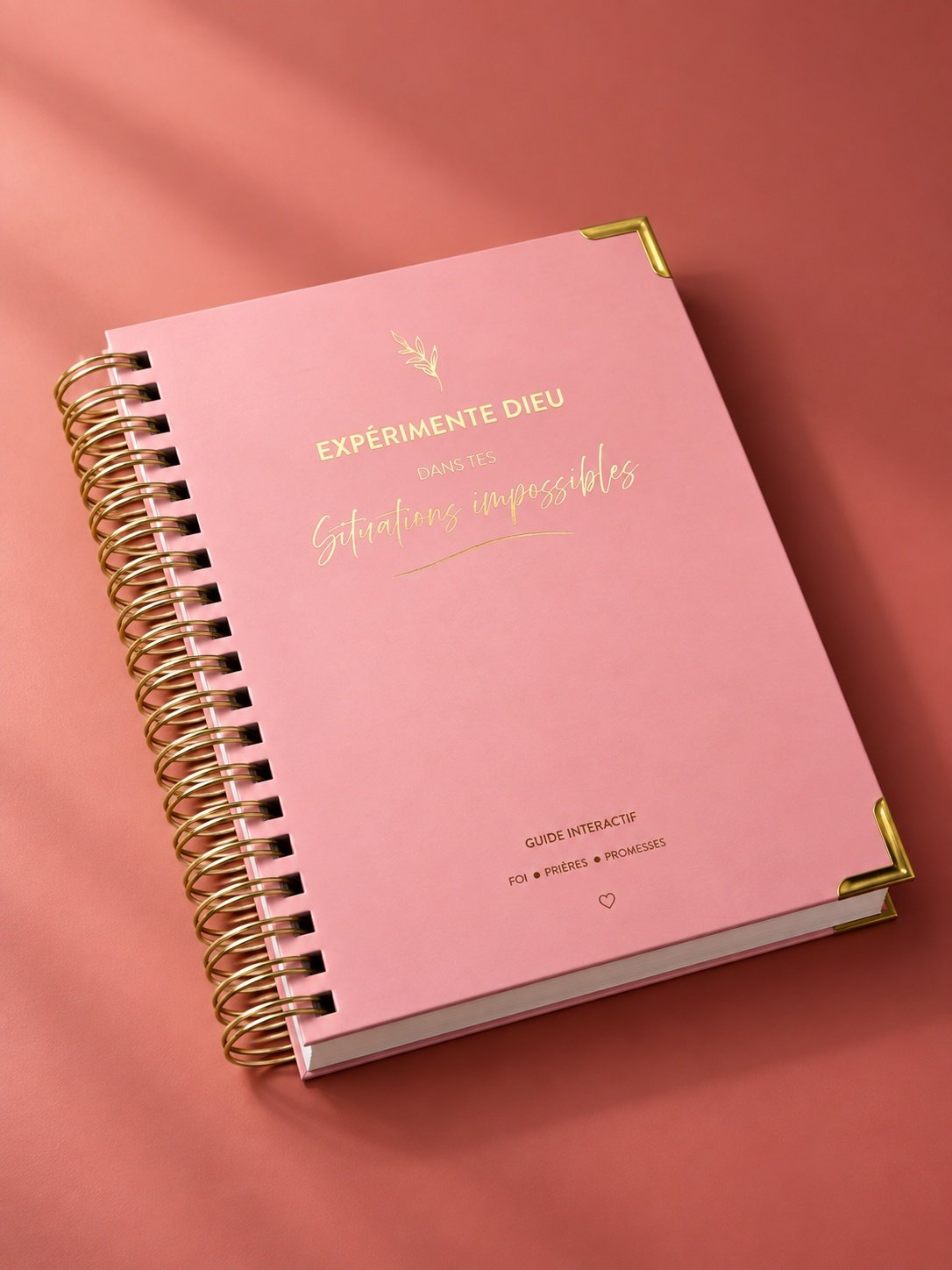 Confie_Lui_limpossible_Rose_FL - La Page Blanche